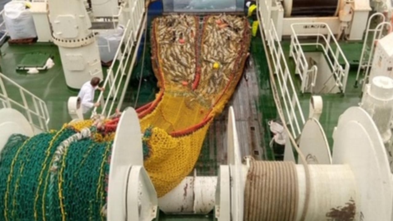 Read more about the article Islandsk trawler med i forsøg med delte trawlposer