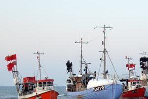 Europa-parlamentet stemmer for mere kontrol i fiskeriet.  Arkivfoto: fra Thorup strand - FiskerForum