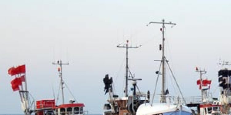 Europa-parlamentet stemmer for mere kontrol i fiskeriet.  Arkivfoto: fra Thorup strand - FiskerForum