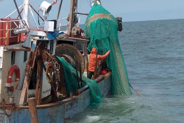 Read more about the article Gode råd vedrørende fartøjer, der lejlighedsvis anvendes til industrifiskeri.