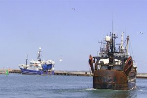 Industriskibe på vej på fiskeri : Foto Frank P