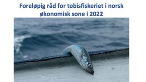 Norsk tobis fiskeri i 2022