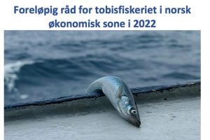Norsk tobis fiskeri i 2022