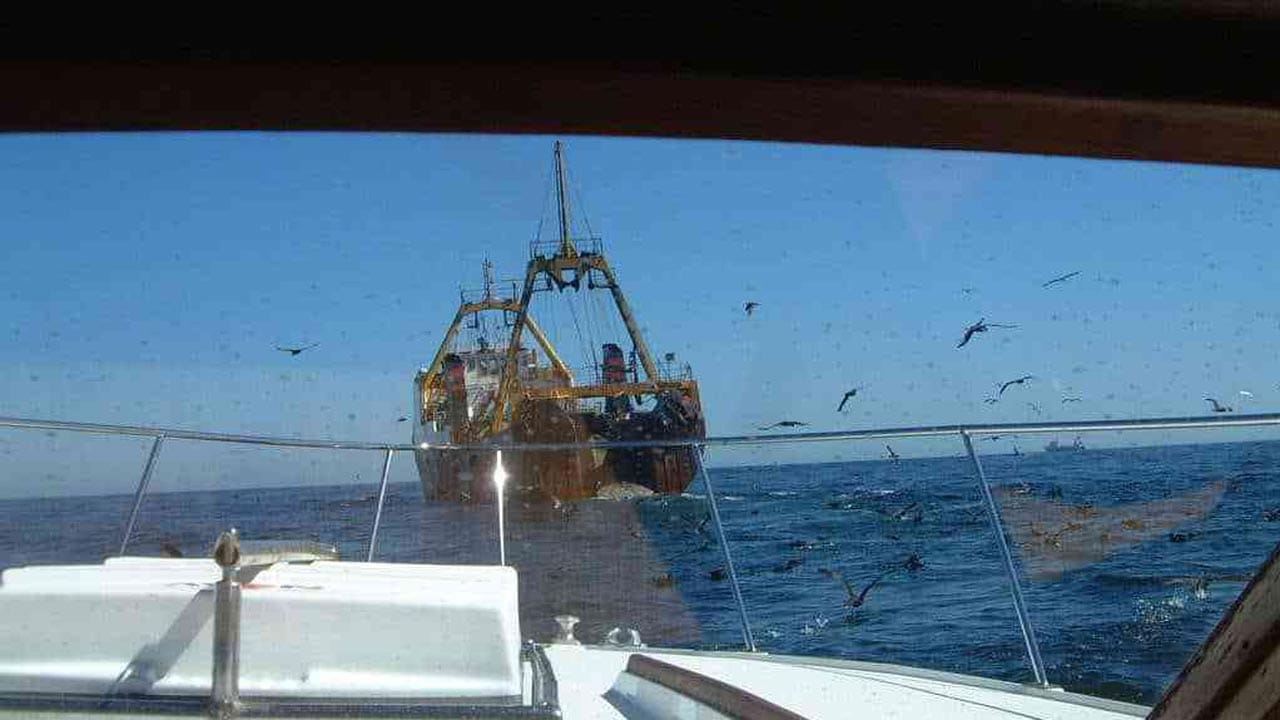 Read more about the article Ulovligt fiskeri kræver international handling