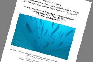 Rapporten, fra sommerens makrel-togt i det Nordøstlige Atlanterhav, er udkommet