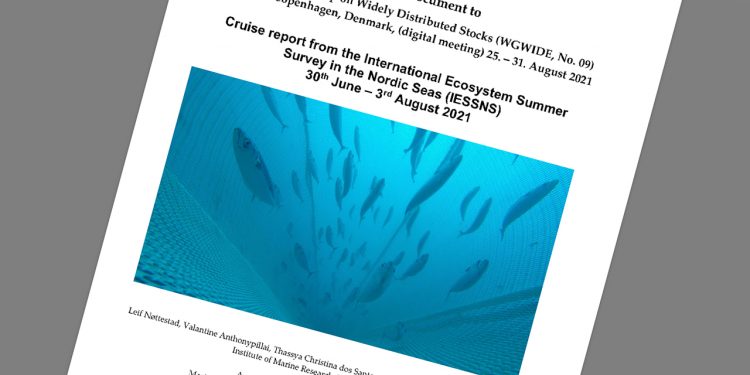 Rapporten, fra sommerens makrel-togt i det Nordøstlige Atlanterhav, er udkommet