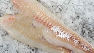 Enniberg ankom i sidste uge til Tórshavn med en last af frossen filet efter tre måneders fiskeri i den norske del af Barentshavet.  foto: FriskFangetFisk.dk