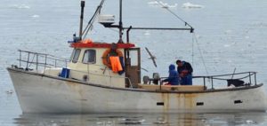 Forsøgsfiskeri efter torsk åbner i Vestgrønland