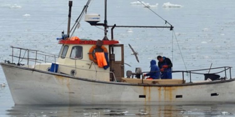 Problematisk med højere grønlandske fiskekvoter
