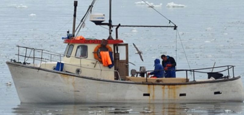 Read more about the article Problematisk med højere grønlandske fiskekvoter, end anbefalet