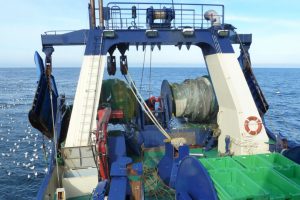 Aquamind rapport omkring trawlfiskeriet