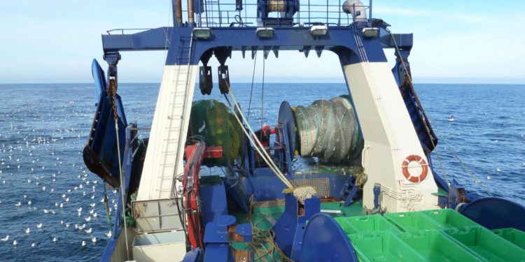 Aquamind rapport omkring trawlfiskeriet