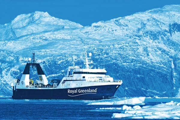 Read more about the article Royal Greenland i fremgang