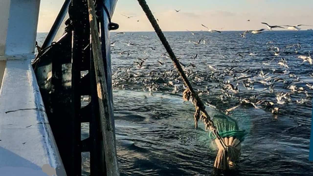 Read more about the article Fiskeriministeren i slingrekurs omkring garn og trawl
