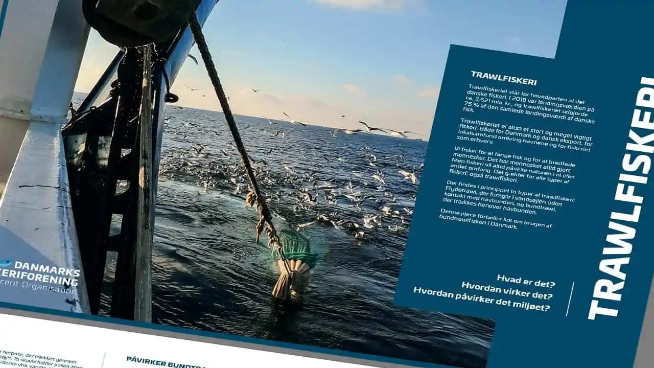 Read more about the article Hvordan påvirker trawl-fiskeriet havmiljøet