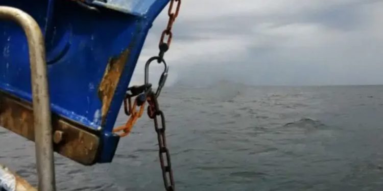 Grønne politikere argumenterer for trawlforbud, omvendt mener fiskerne ikke de grønnes argumenter holder en meter. arkivfoto: FiskerForum.dk