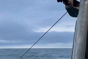 Her advarer formanden om konsekvenserne af fiskeripakken, hvor politikerne før sammeferien besluttede at lukke for det kystnære bundslæbende fiskeri, i Bælthavet og dele af Kattegat. Nu må de sikre, at ophugningspengene udbetales omgående, så fiskerne ikke ender i klemme. foto: Annika RS 73