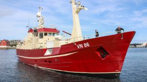 I Tórshavn kunne det godt 32 meter lange garnskib fra 60’erne, Túgvusteinur, lande 13 tons fisk foto: Kiran J