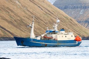 Færøerne: Landinger på den største ø Streymoy af Tugvusteinur i Tórshavn