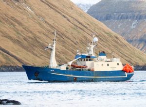 Færøerne: Landinger på den største ø Streymoy af Tugvusteinur i Tórshavn