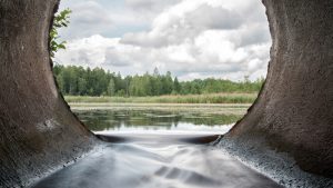 Udledning af kvælstof til kystvandene er 55.000 tons for 2021. foto: FiskerForum.dk