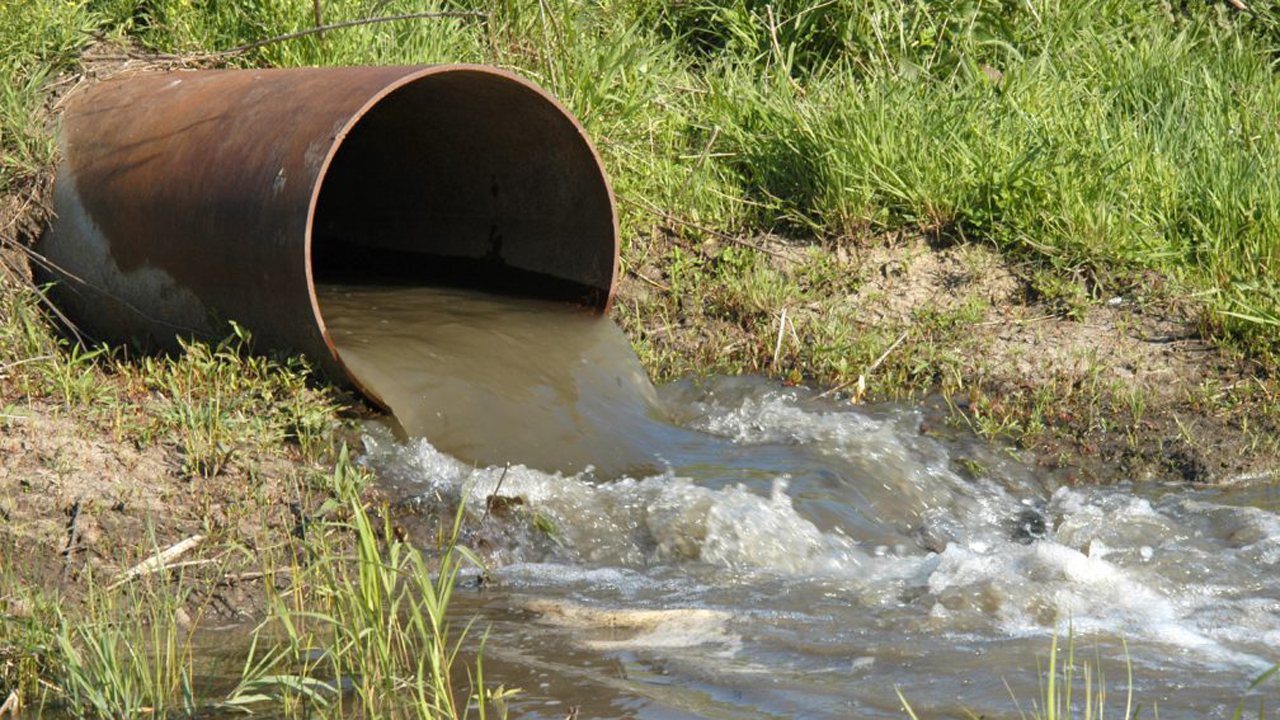 Read more about the article Et trawlforbud rammer perifert, alt imens de virkelige syndere går fri