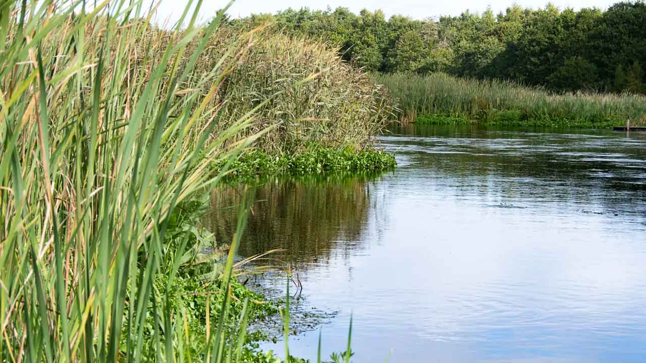 Read more about the article Rent vandmiljø – men har vi fokus på de forkerte?