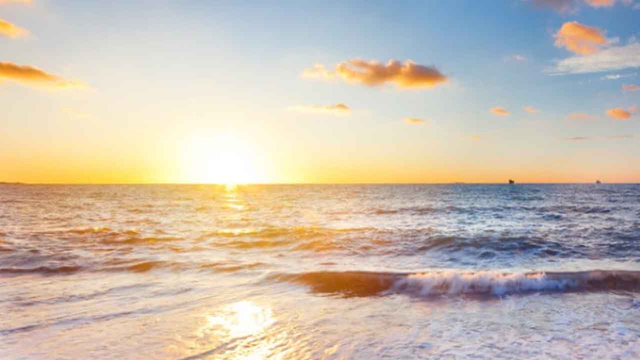 Read more about the article Det danske havvand er en grad varmere end sidste år