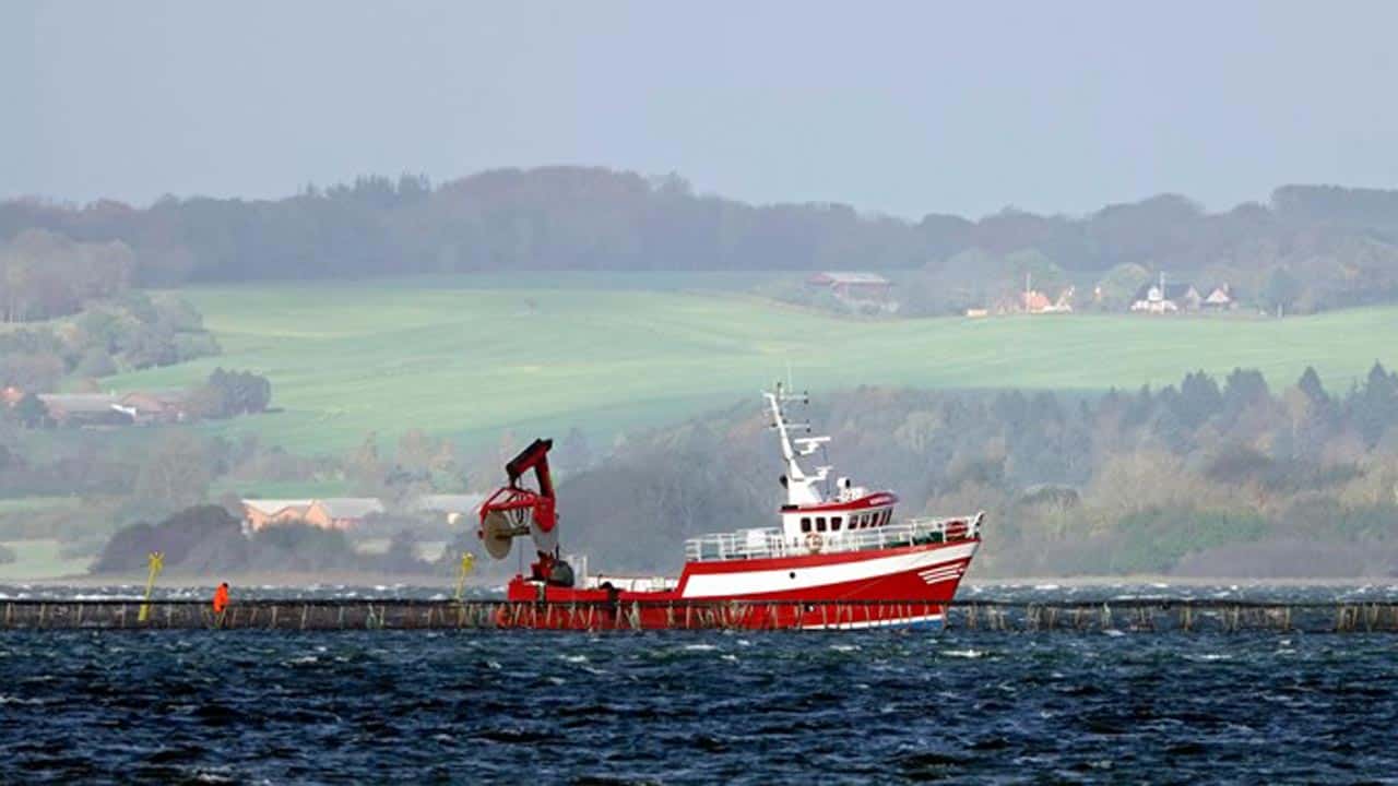 Read more about the article Ny teknologi kan reducere havbrugs udledning af næringsstoffer